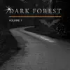 Various Artists - Dark Forest, Vol. 1